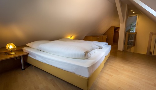 Apartment (XL)