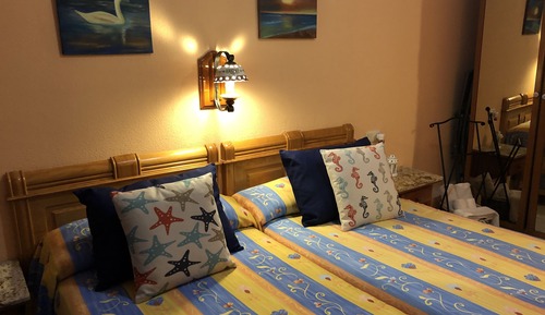 Basic Twin Room