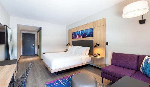 Room, 1 King Bed (Mobility Accessible, Tub)