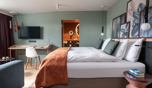 Business Double Room, 1 King Bed