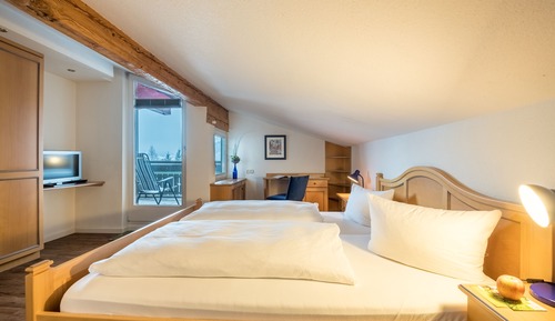Apartment, 2 Bedrooms, Non Smoking, Pets Allowed (Rindalbhorn)