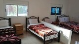 Room, Multiple Beds