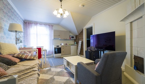 Comfort Apartment, 1 Bedroom (Asta)