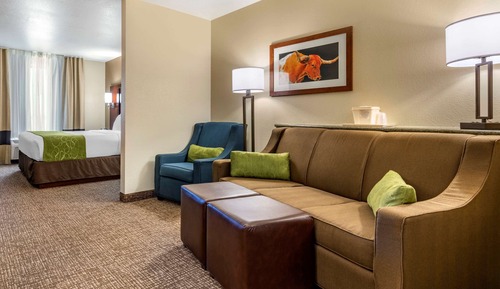 Suite, 1 King Bed with Sofa bed, Accessible, Non Smoking