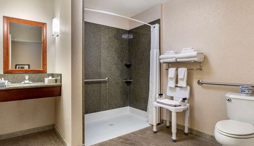 Suite, 1 King Bed with Sofa bed, Accessible, Non Smoking