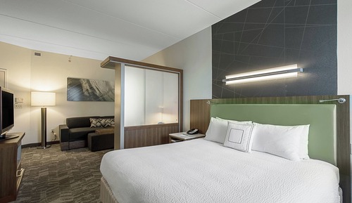 Suite, 1 King Bed with Sofa bed (Mobility/Hearing Accessible, Tub)