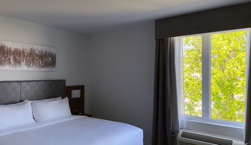 Deluxe Room, 1 King Bed, Accessible, Non Smoking (No Pets Allowed)