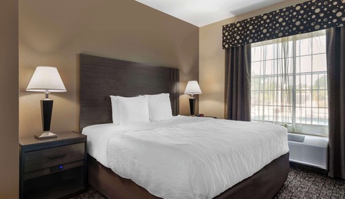 Suite, 1 King Bed, Non Smoking, Refrigerator & Microwave (with Sofabed)