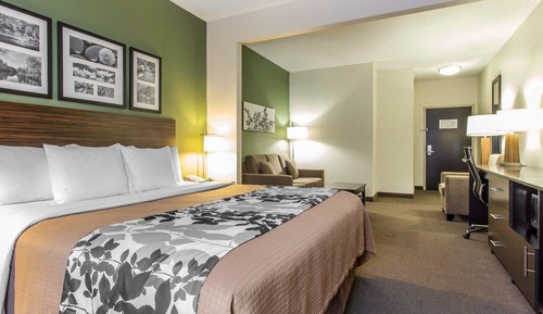 Suite, 1 King Bed with Sofa bed, Accessible, Non Smoking