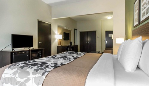 Room, 1 King Bed, Accessible, Non Smoking