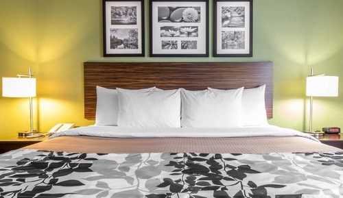 Standard Room, 1 King Bed, Non Smoking