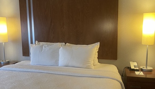 Room, 1 King Bed (Mobility/Hearing Accessible, Tub)