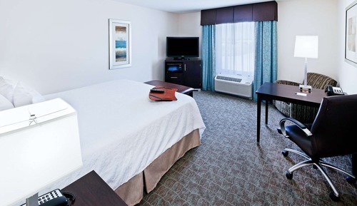 Room, 1 King Bed