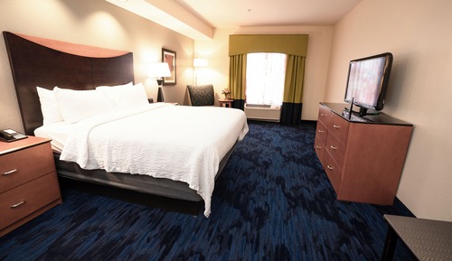 Room, 1 King Bed (Mobility/Hearing Access, Roll-In Shwr)