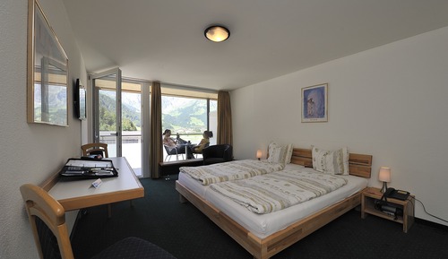 Double Room, Balcony, Mountain View