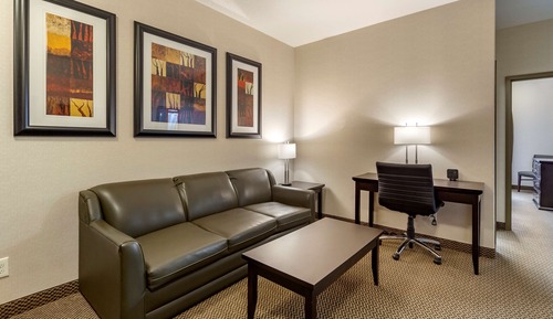 Suite, 1 King Bed, Non Smoking, Refrigerator & Microwave (with Sofabed)