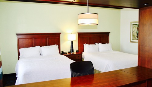Studio, 2 Queen Beds