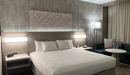 Deluxe Room, 1 King Bed (Deluxe King)