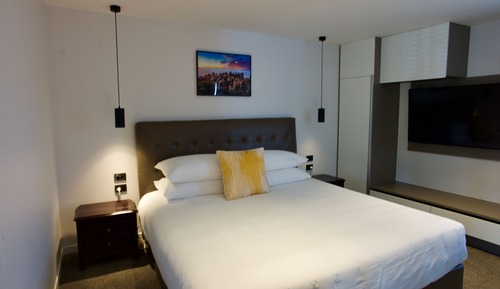 Luxury Apartment, 1 King Bed with Sofa bed