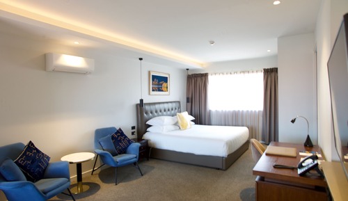Luxury Studio Suite