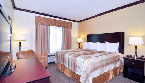 Standard Room, 1 King Bed with Sofa bed, Accessible, Non Smoking (Bathtub, with Sofabed)