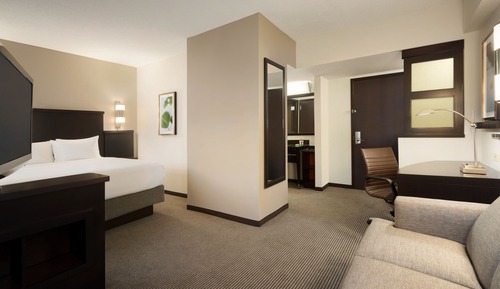 Room, 1 King Bed, Accessible (Shower)
