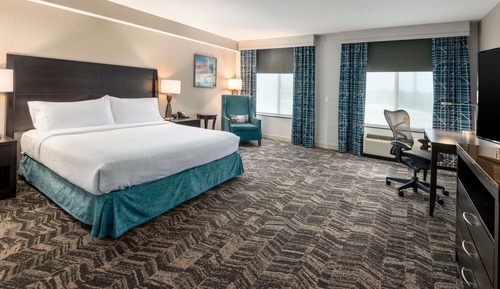 Accessible, 1 King Bed with Roll-In Shower