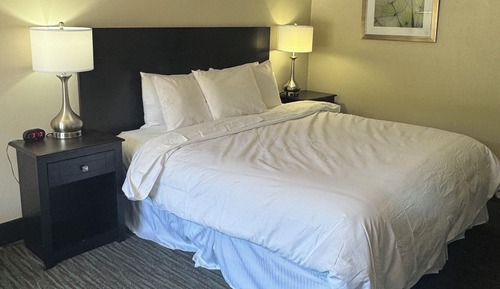 Room, 1 King Bed