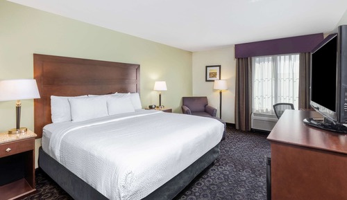Room, 1 King Bed, Non Smoking