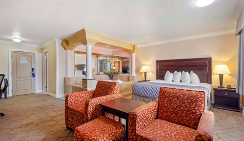 Standard Room, 1 King Bed, Non Smoking, Jetted Tub (No Pets in room type)