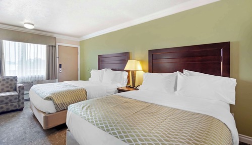 Standard Room, 2 Queen Beds, Non Smoking, Refrigerator & Microwave (Pet Friendly)
