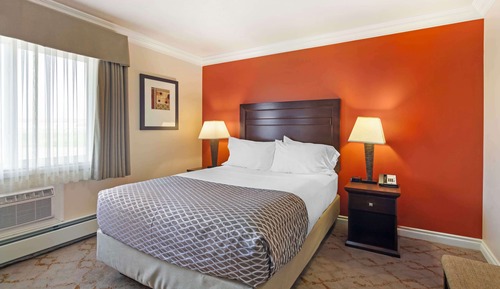 Standard Apartment, 1 Queen Bed, Non Smoking, Kitchen (Pet Friendly;Sofabed, Full Kitchen)