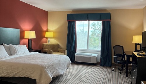 Standard Room, 1 King Bed, Accessible (Roll in Shower)