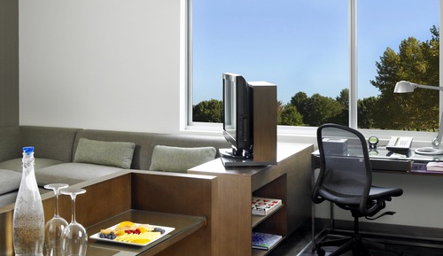 Suite, 1 Bedroom (Mobility/Hearing Access, Roll-In Shwr)