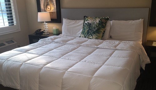 Suite, 1 Bedroom
