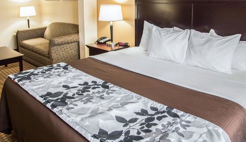 Suite, 1 King Bed with Sofa bed