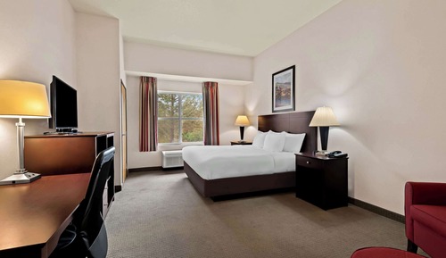 Room, 1 King Bed with Sofa bed, Accessible, Non Smoking
