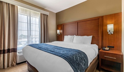 Suite, 1 King Bed with Sofa bed, Accessible, Non Smoking (Efficiency)