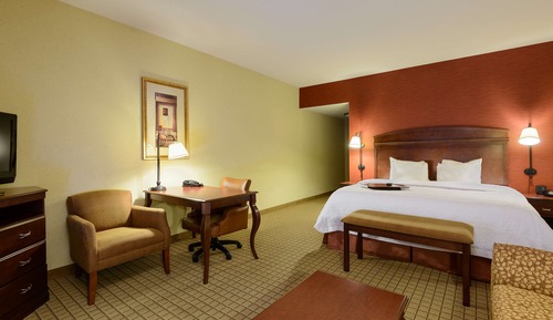 Room, 1 King Bed, Accessible, Non Smoking