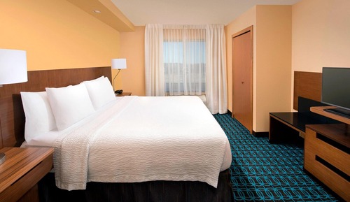Suite, 1 King Bed with Sofa bed