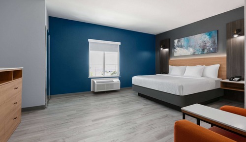 Room, 1 King Bed, Non Smoking