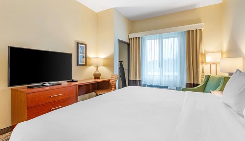 Room, 1 King Bed, Accessible, Non Smoking
