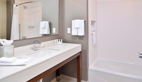 Executive Suite, Multiple Beds (Mobility/Hearing Access, Roll-In Shwr)