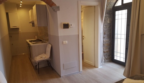 Basic Studio, 1 Queen Bed, Non Smoking, Kitchen (12)