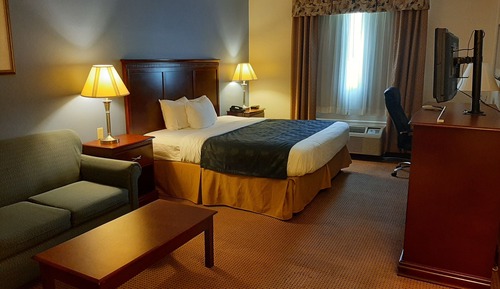 Comfort Single Room