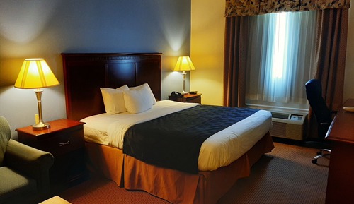 Senior Single Room