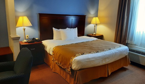 Senior Suite