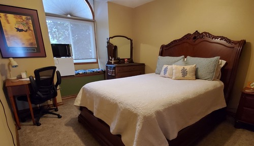 Deluxe Room, 1 Queen Bed, Refrigerator & Microwave