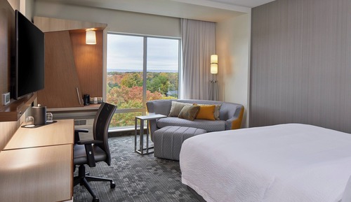 Room, 1 King Bed (Hearing Accessible)