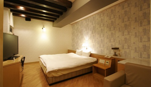 Business Double Room Single Use (B)